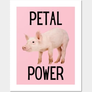 Petal Power Kirk’s Pig Posters and Art